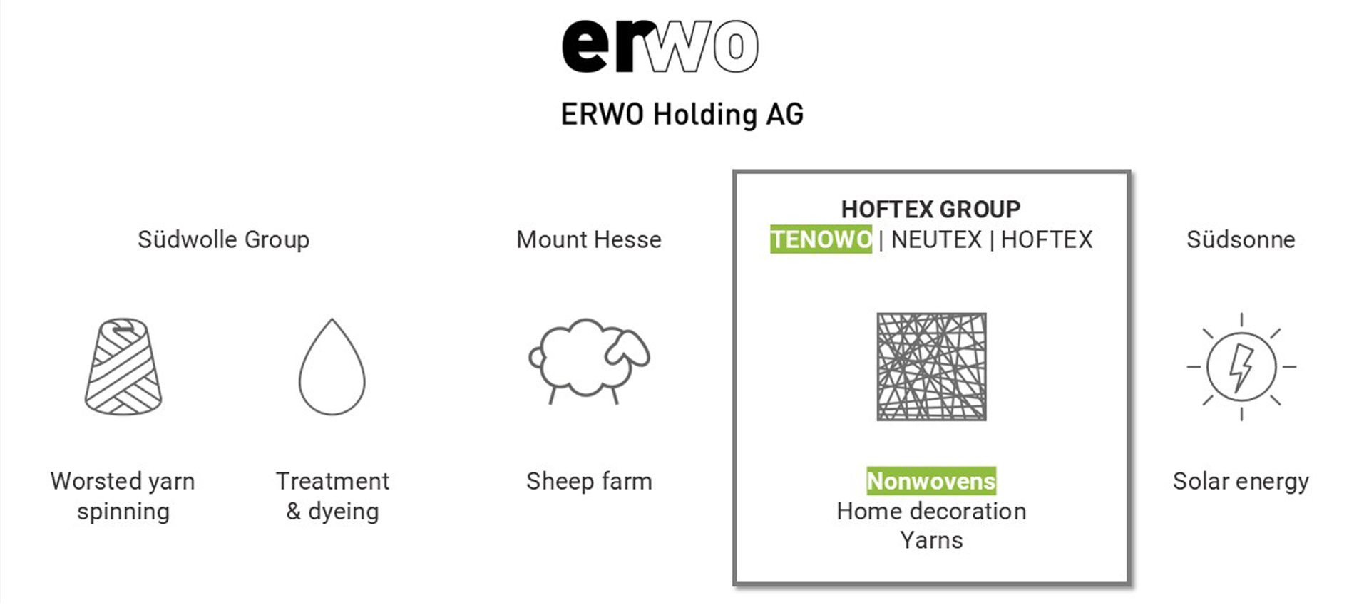 erwo_Group_Structure_EN_1920x849px_260609